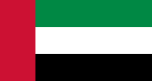 Drapeau Émirats arabes unis Toile polyester - Acheter en ligne