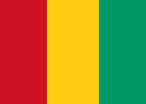 Drapeau Guinée Toile polyester - Acheter en ligne