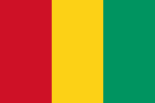 Drapeau Guinée Toile polyester - Acheter en ligne