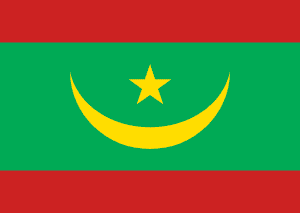 Drapeau Mauritanie Toile polyester - Acheter en ligne