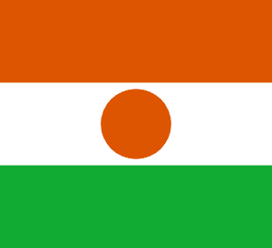 Drapeau Niger Toile polyester - Acheter en ligne