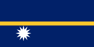 Drapeau Nauru Toile polyester - Acheter en ligne