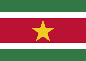 Drapeau Surinam Toile polyester - Acheter en ligne