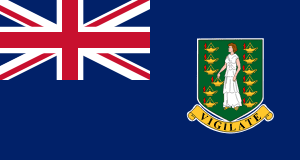 Drapeau Îles Vierges britanniques Toile polyester - Acheter en ligne